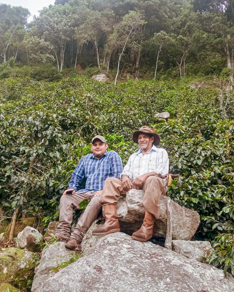 Honduras Montecillos El Jardin / Natural