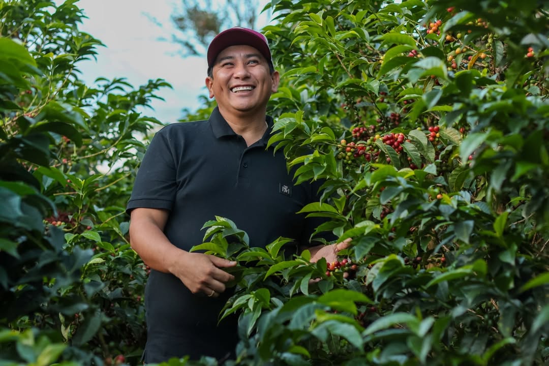 Colombia Monteblanco Mango Infused / Yıkanmış