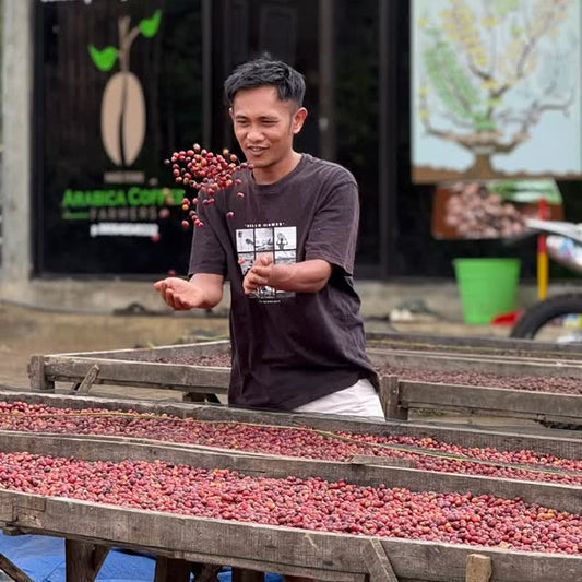 Indonesia Pagi Nampak / Natural Anaerobic