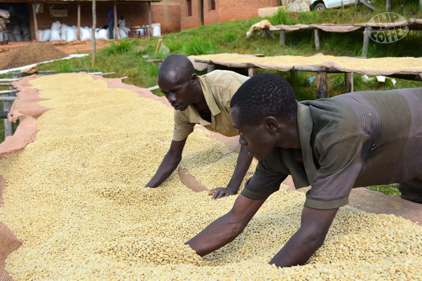 Burundi Busasa / Yıkanmış