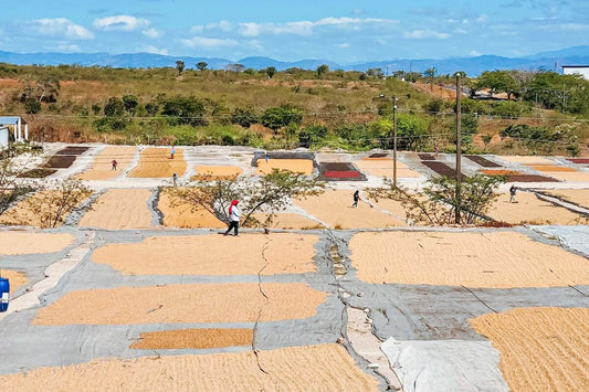 Honduras Montecillos El Jardin / Natural