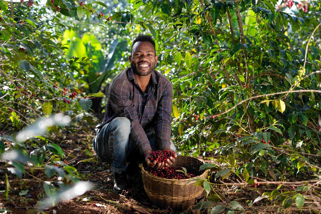 Ethiopia Lalesa / Natural Anaerobic