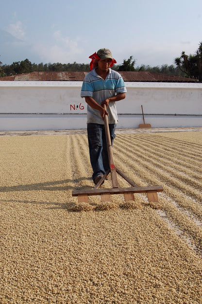 Morning Coffee / Yıkanmış