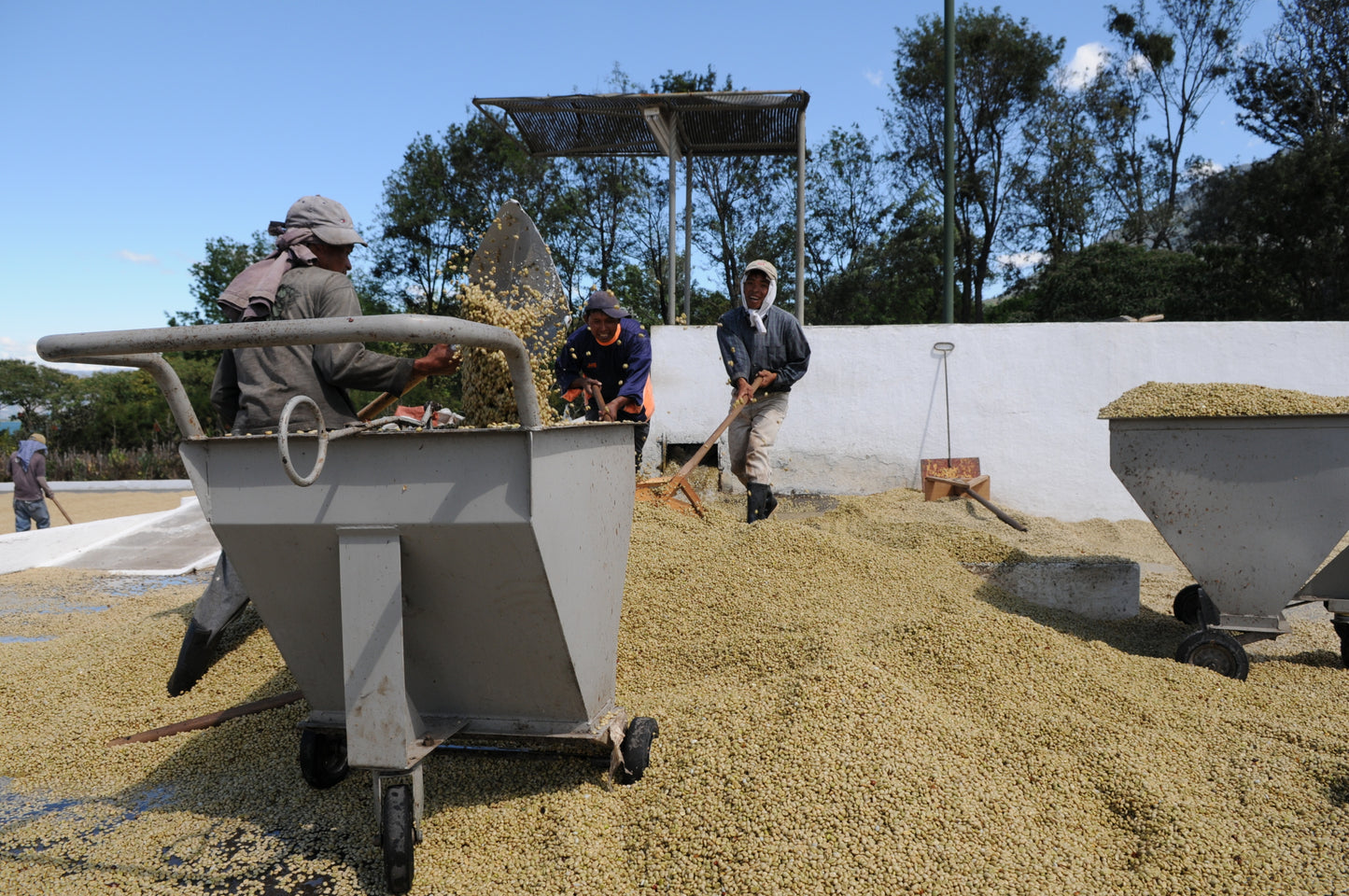 Morning Coffee / Yıkanmış