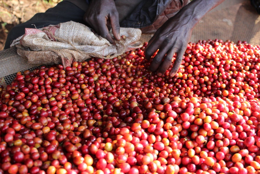 Burundi Busasa / Yıkanmış