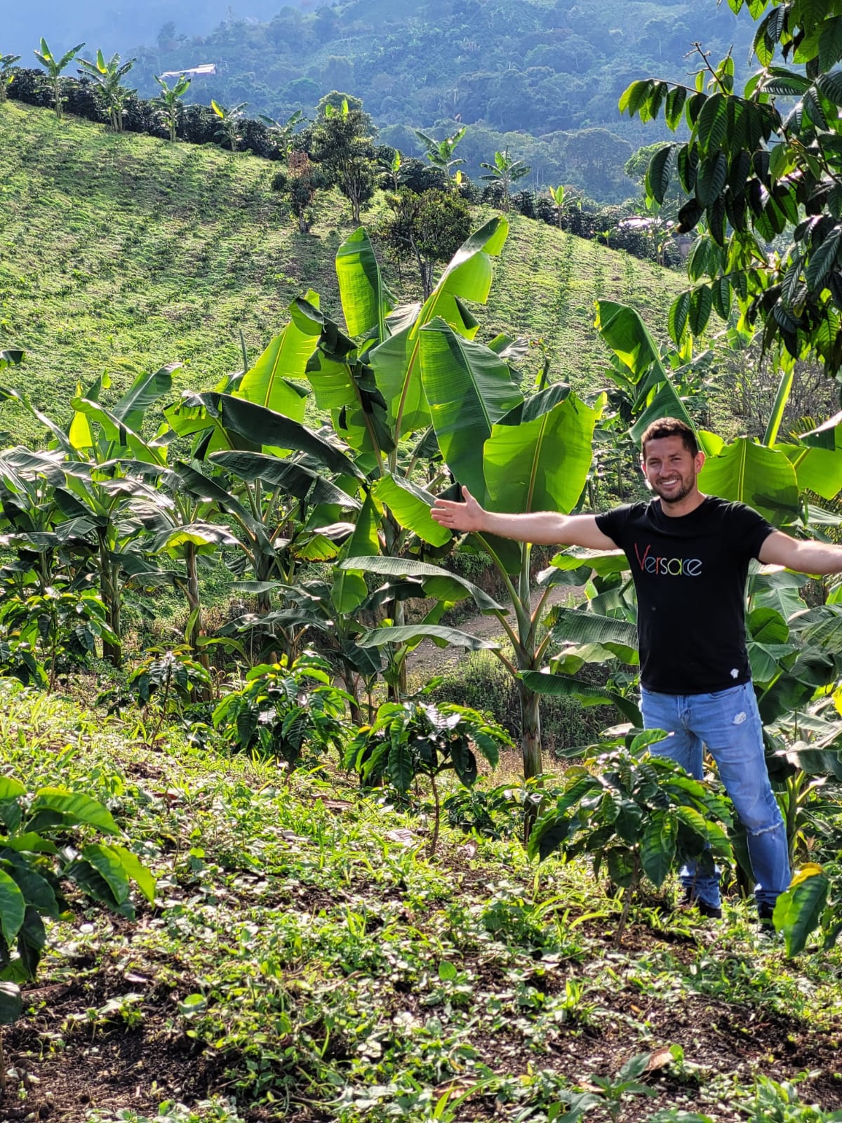 Colombia Bombona / Yıkanmış