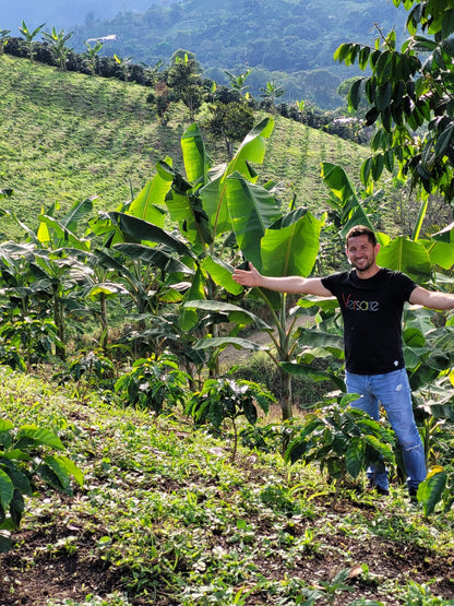 Colombia Bombona / Yıkanmış