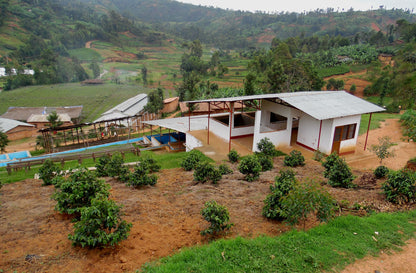 Burundi Busasa / Yıkanmış
