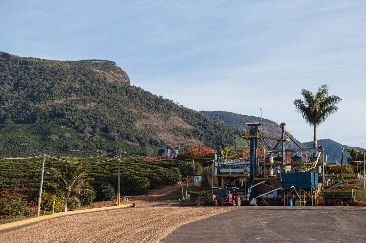 Brazil Caramelo / Natural