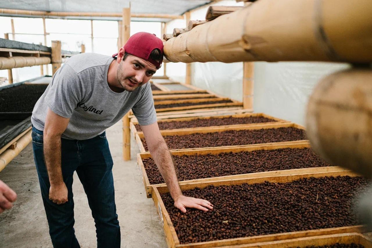 Colombia Santa Monica / Honey Wine Yeast + Cherry