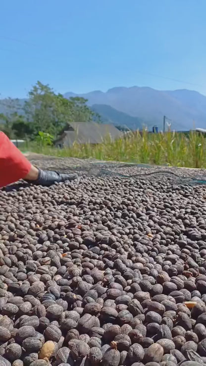 Indonesia Tiga Kali Mang Tempayan / Natural