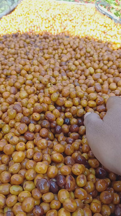 Indonesia Percobaan Mang Tempayan / Yıkanmış